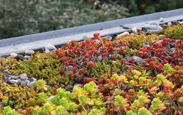 the cost of Trevail green roof installation