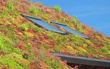 Trevail living roof systems