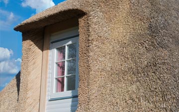 Trevail thatch roof disadvantages