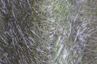 Trevail fibreglass roof work